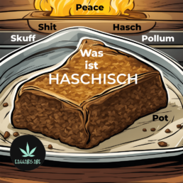 Haschisch Hasch Shit Pot pollum