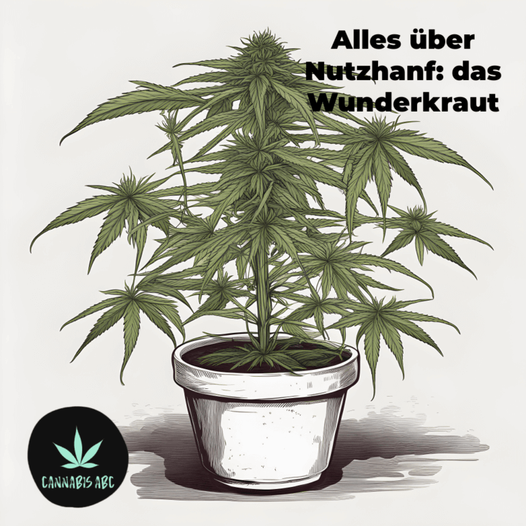 Nutzhanf: alles wissenswerte