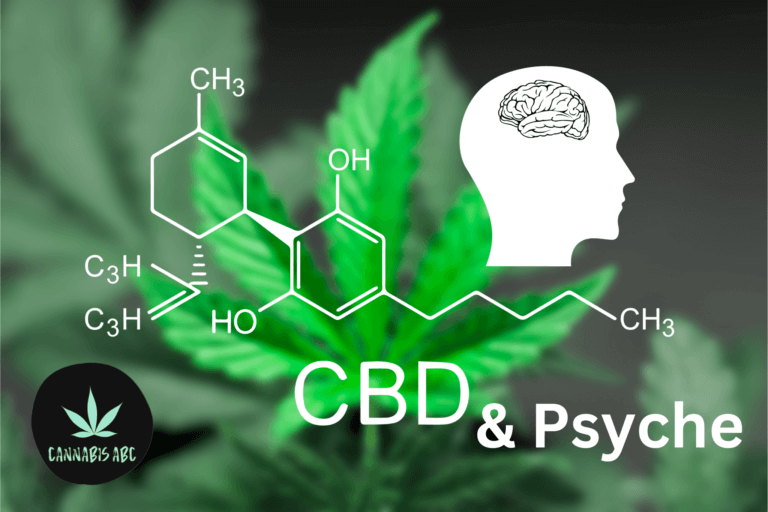 CBD Öl Wirkung Psyche
