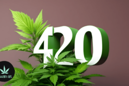420 Bedeutung