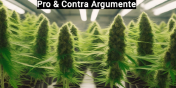 Cannabis Legalisierung pro contra