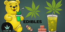 Cannabis Edibles