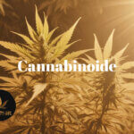 Cannabinoide