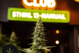 Cannabis Club Bonn