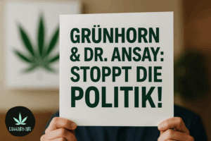 Grünhorn Cannabis petition gegen CDU